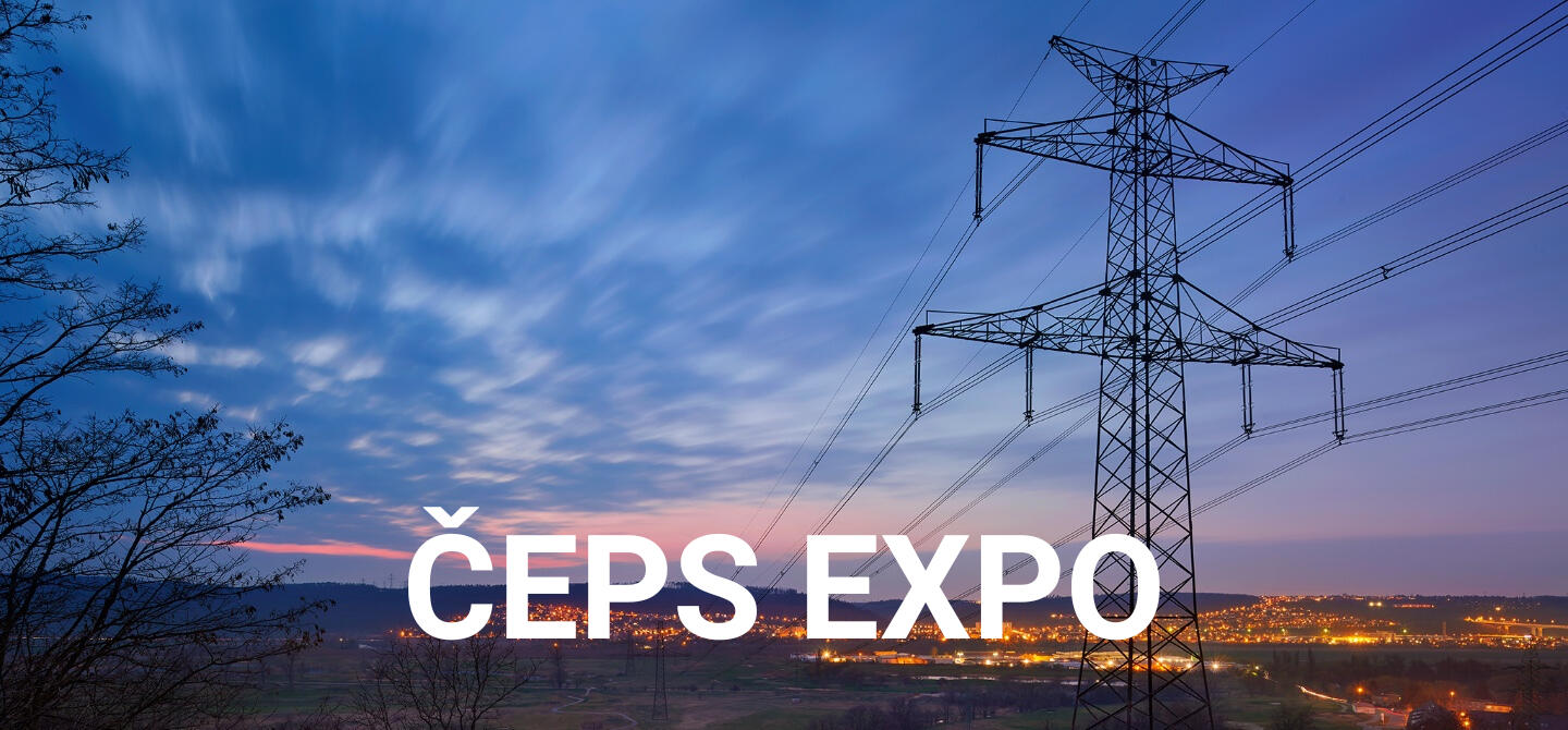 Logo ČEPS Logo ČEPS